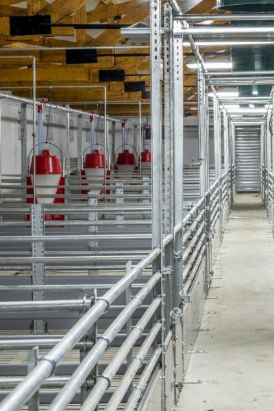 galarza y molina constructores galpon estructuras quito ambientes controlados avicola certificación agrocalidad (26)
