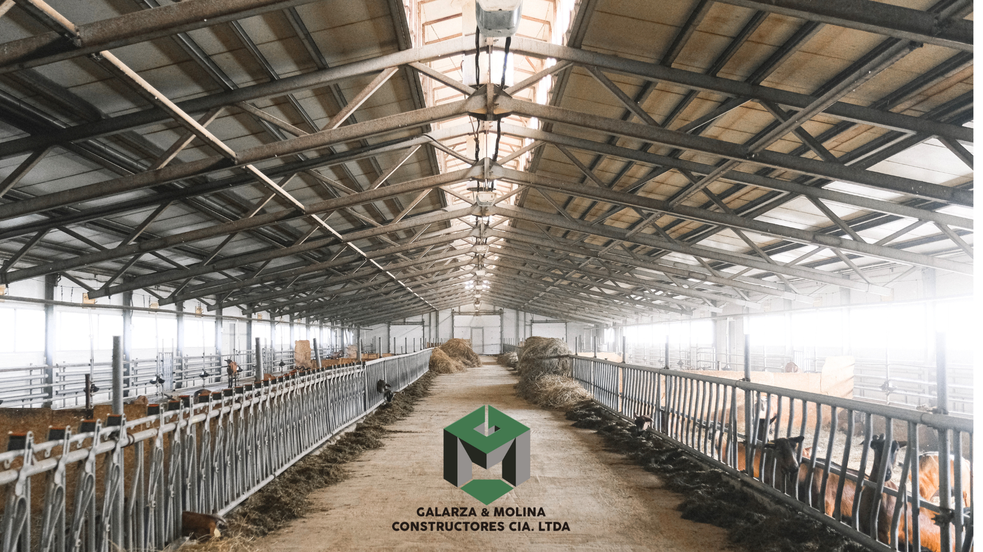 galarza y molina constructores galpon estructuras quito ambientes controlados avicola certificación agrocalidad (8)